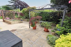HAZEL MEWS- click for photo gallery